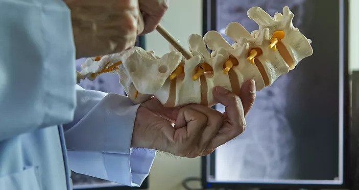 spinal inspection spinal inspection